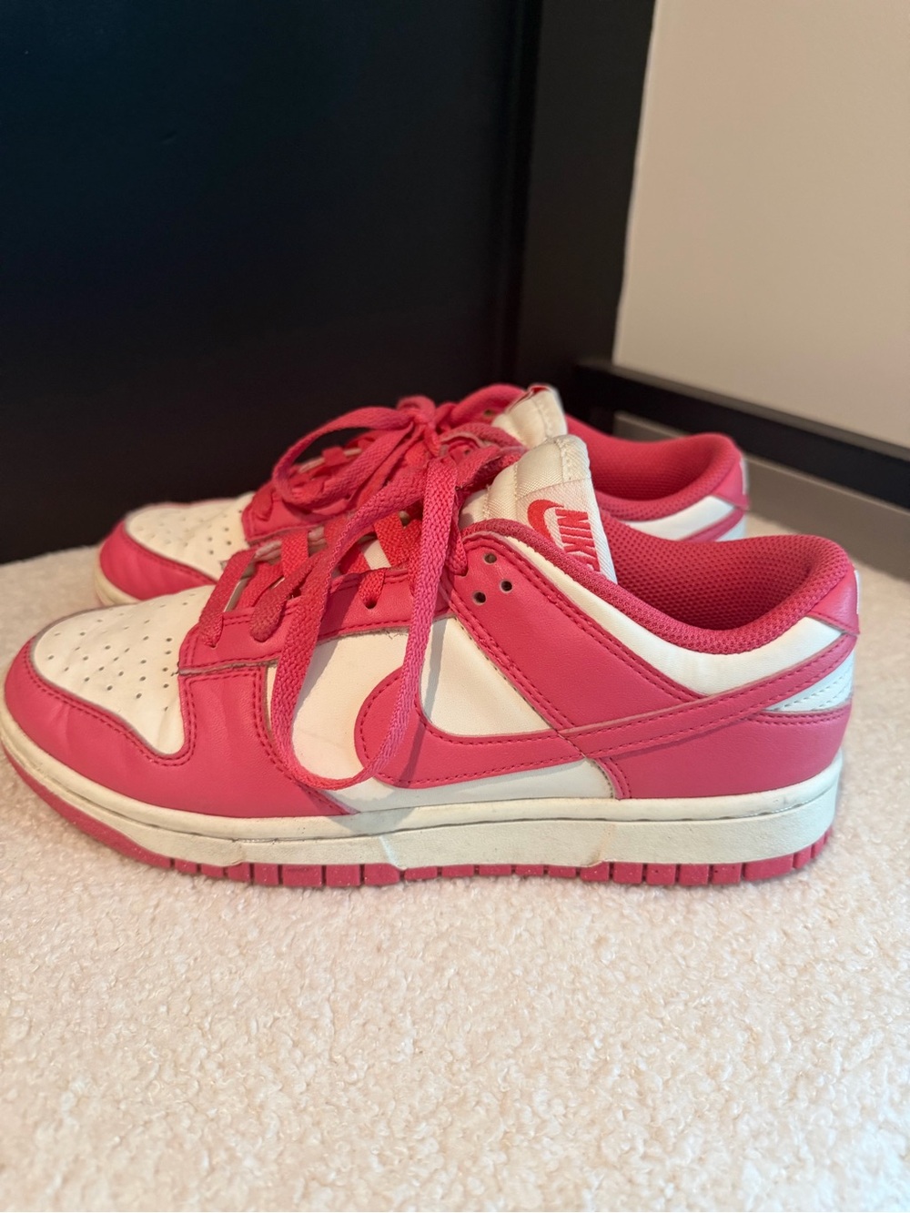 Women’s Nike Dunks